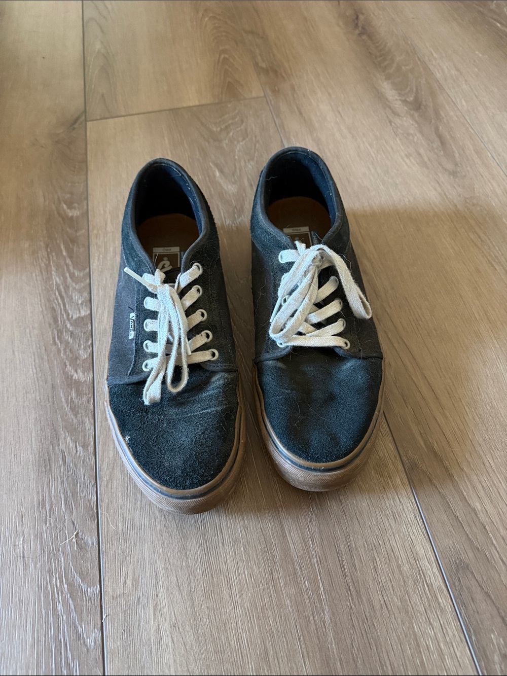 Vans Black Canvas Low-Top Sneakers with White Laces